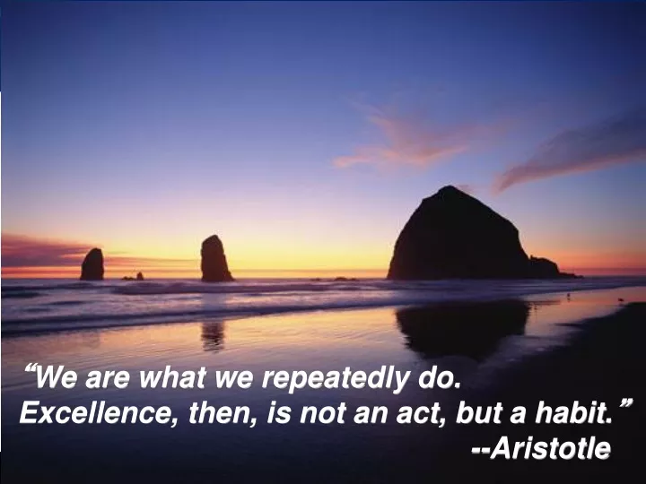 we are what we repeatedly do excellence then