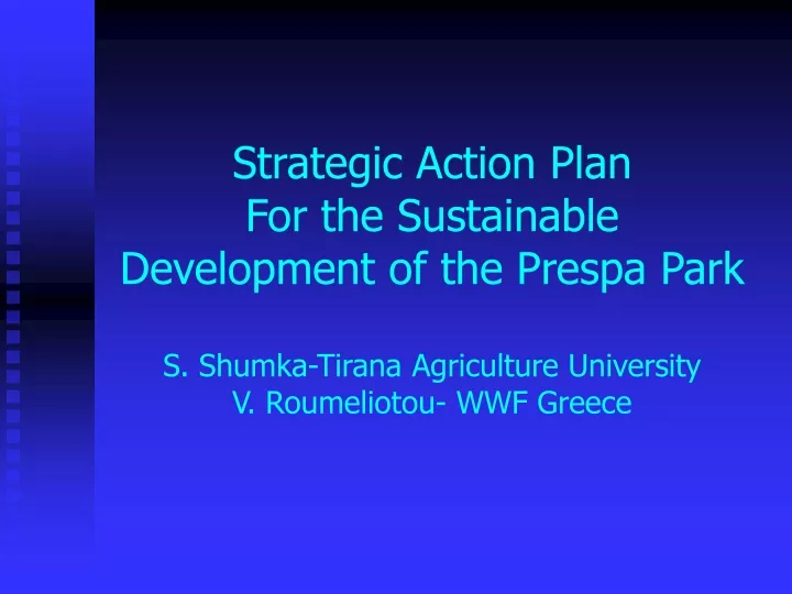 strategic action plan for the sustainable