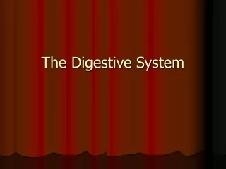 The Digestive System