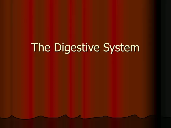 the digestive system