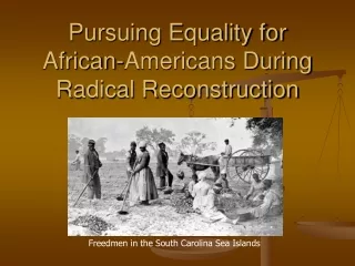 Pursuing Equality for  African-Americans During  Radical Reconstruction