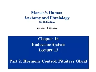 Chapter 16 Endocrine System Lecture 13 Part 2: Hormone Control; Pituitary Gland