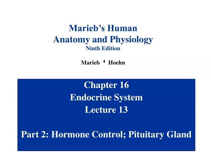 chapter 16 endocrine system lecture 13 part 2 hormone control pituitary gland