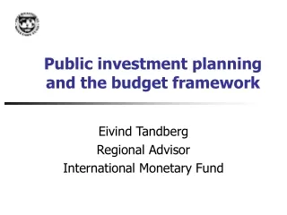 Public investment planning and the budget framework