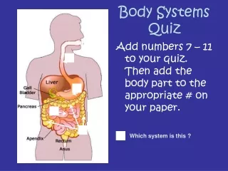 Body Systems Quiz