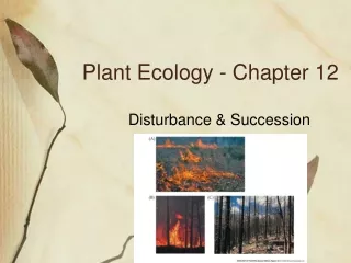 Plant Ecology - Chapter 12