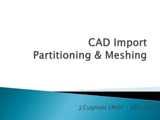 CAD Import  Partitioning &amp; Meshing