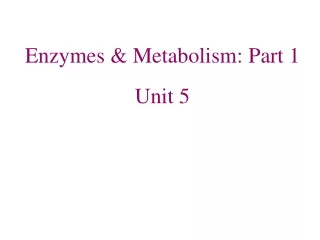 Enzymes &amp; Metabolism: Part 1 Unit 5