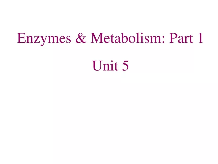 enzymes metabolism part 1 unit 5