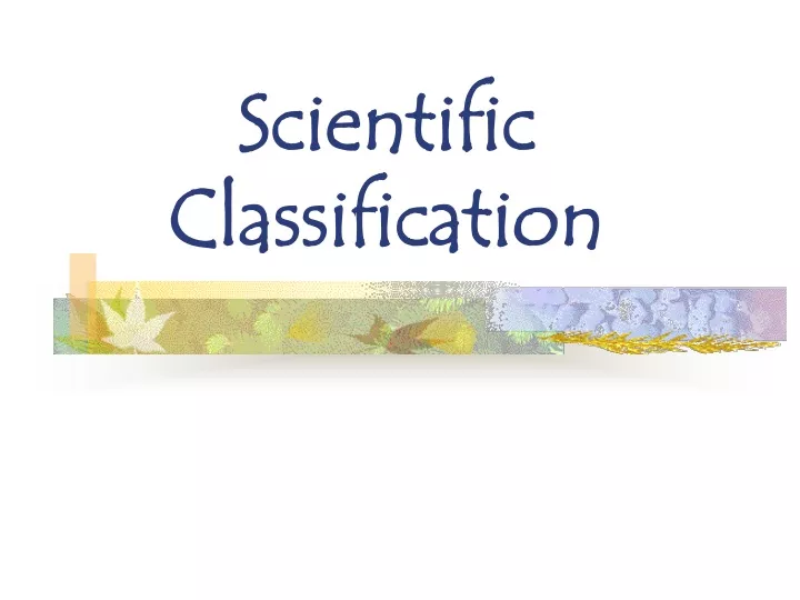 scientific classification