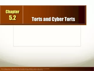 Torts and Cyber Torts