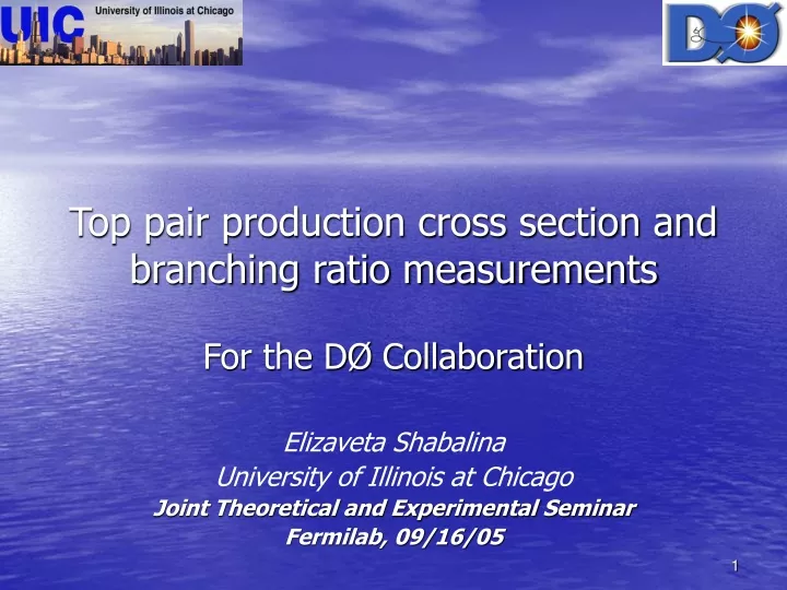 top pair production cross section and branching ratio measurements