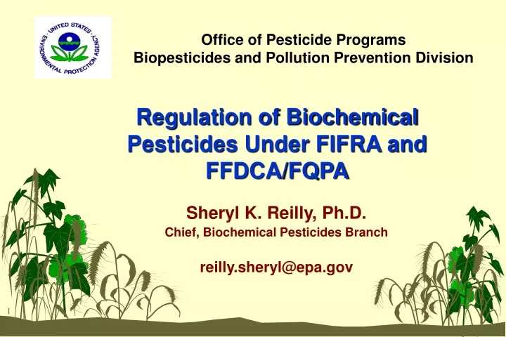 office of pesticide programs biopesticides and pollution prevention division