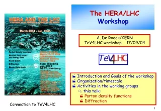 The HERA/LHC  Workshop