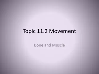 Topic 11.2 Movement