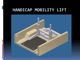 Handicap Mobility Lift