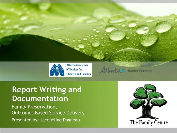 report writing and documentation