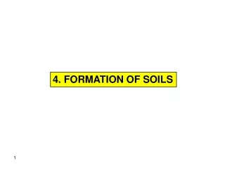 4. FORMATION OF SOILS