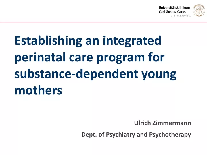 establishing an integrated perinatal care program