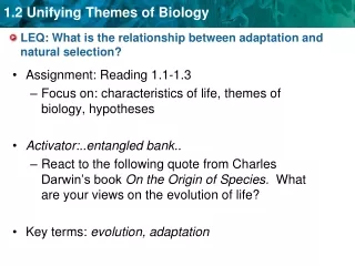 LEQ: What is the relationship between adaptation and natural selection?