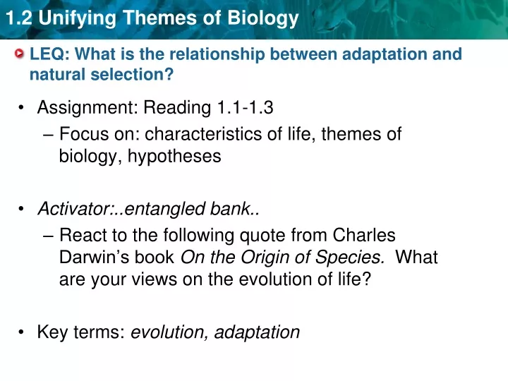 leq what is the relationship between adaptation and natural selection