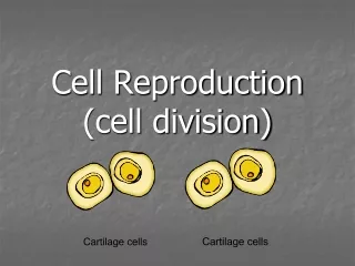 Cell Reproduction (cell division)