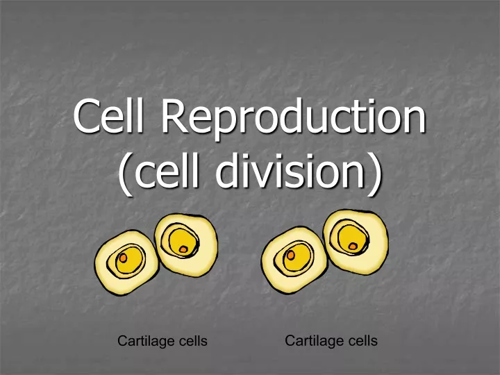 cell reproduction cell division