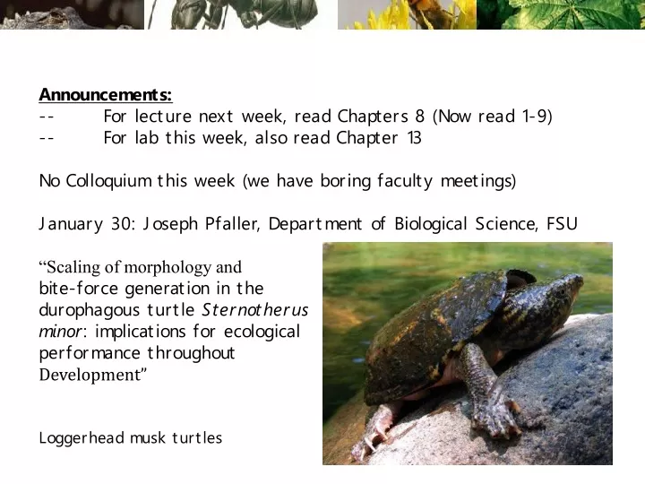 announcements for lecture next week read chapters