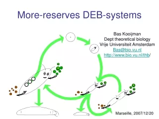 More-reserves DEB-systems