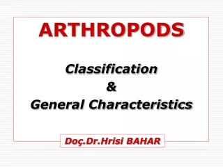 ARTHROPODS Classification  &amp;  General Characteristics