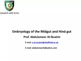 Embryology of the Midgut and Hind gut
