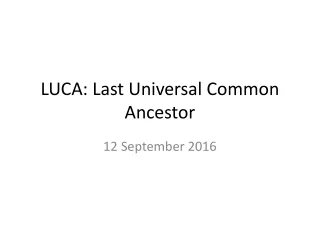 LUCA: Last Universal Common Ancestor