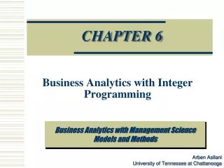 Business Analytics with Integer Programming
