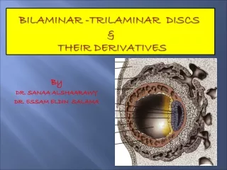 BILAMINAR -TRILAMINAR  DISCS  &amp;  THEIR DERIVATIVES