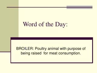 Word of the Day: