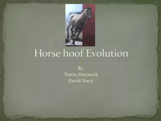 Horse hoof Evolution