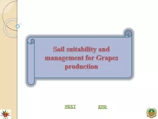 Soil suitability and management for Grapes production