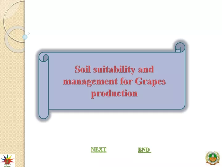 soil suitability and management for grapes