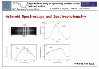 Asteroid Spectroscopy and Spectrophotometry