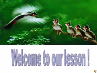 Welcome to our lesson !