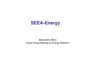SEEA-Energy