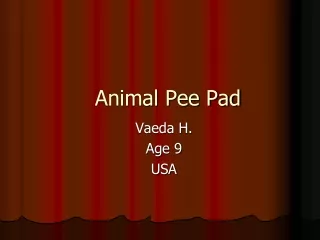 Animal Pee Pad