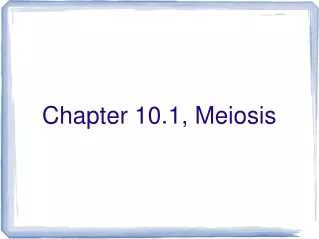 Chapter 10.1, Meiosis