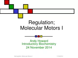 Regulation; Molecular Motors I