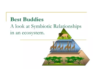 Best Buddies A look at Symbiotic Relationships in an ecosystem.