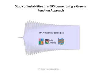 Study of instabilities in a BRS burner using a  Green’s Function Approach