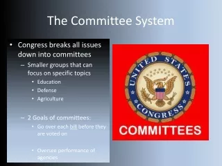 The Committee System