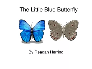 The Little Blue Butterfly