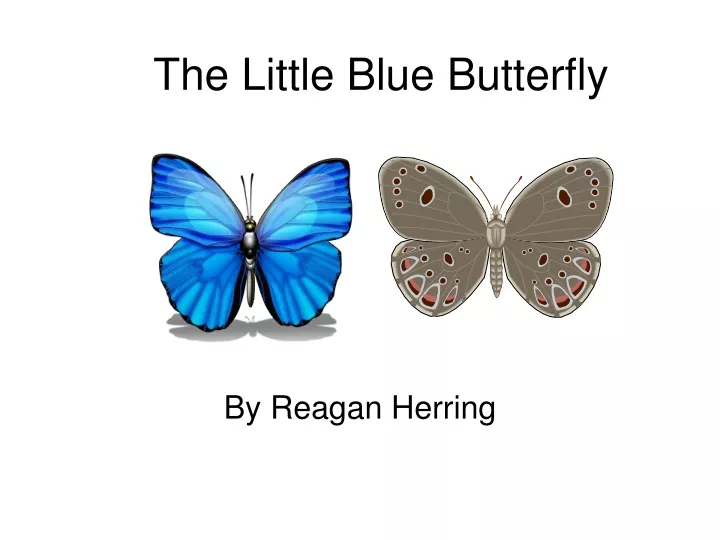 the little blue butterfly