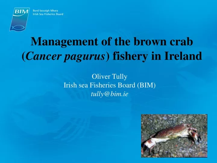 management of the brown crab cancer pagurus